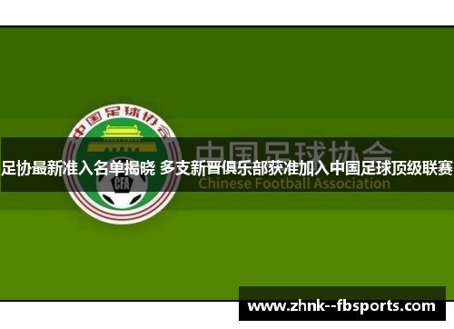 足协最新准入名单揭晓 多支新晋俱乐部获准加入中国足球顶级联赛 足协最新准入名单揭晓 多支新晋俱乐部获准加入中国足球顶级联赛